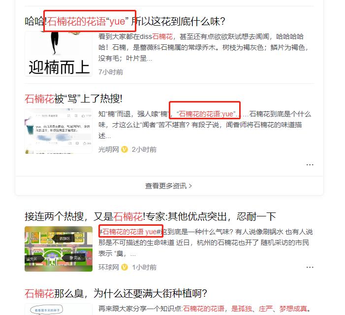 石楠那么臭为什么还要种,石楠味道很难闻