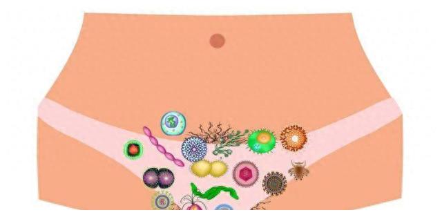 同绘美丽画卷共享生态福祉