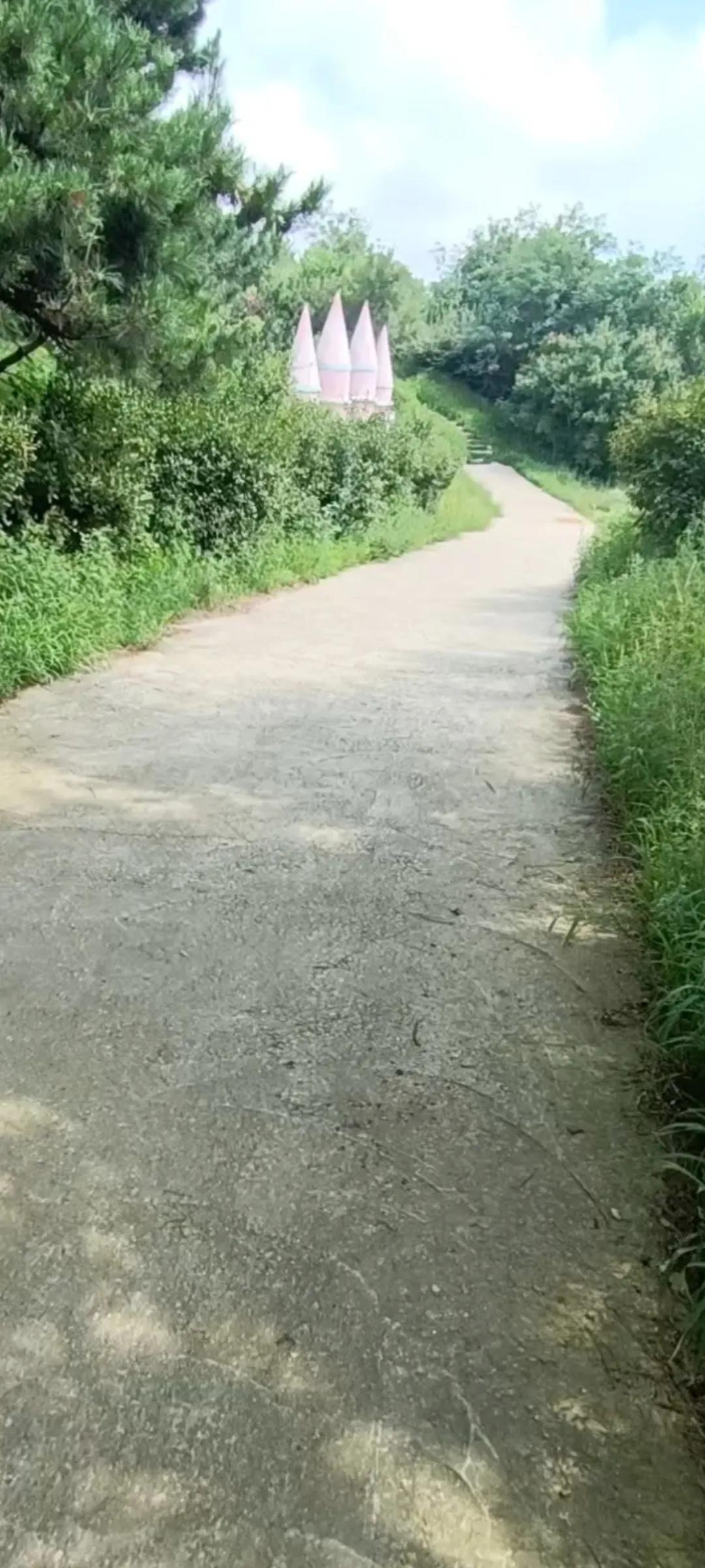 梦幻城堡礼物多少钱,梦幻城堡别墅