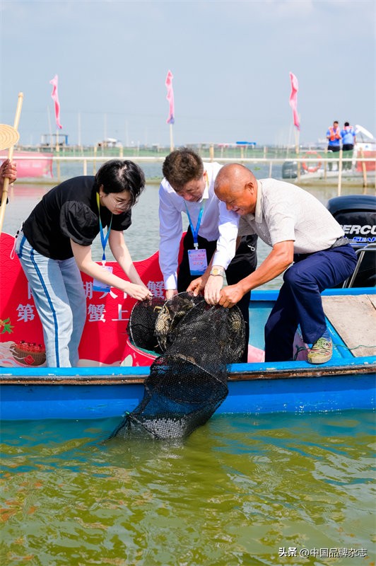 大闸蟹价格下降一半,大闸蟹价格下跌吗