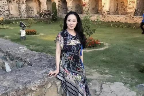 章小蕙凭什么还清债务,章小蕙现资产多少亿