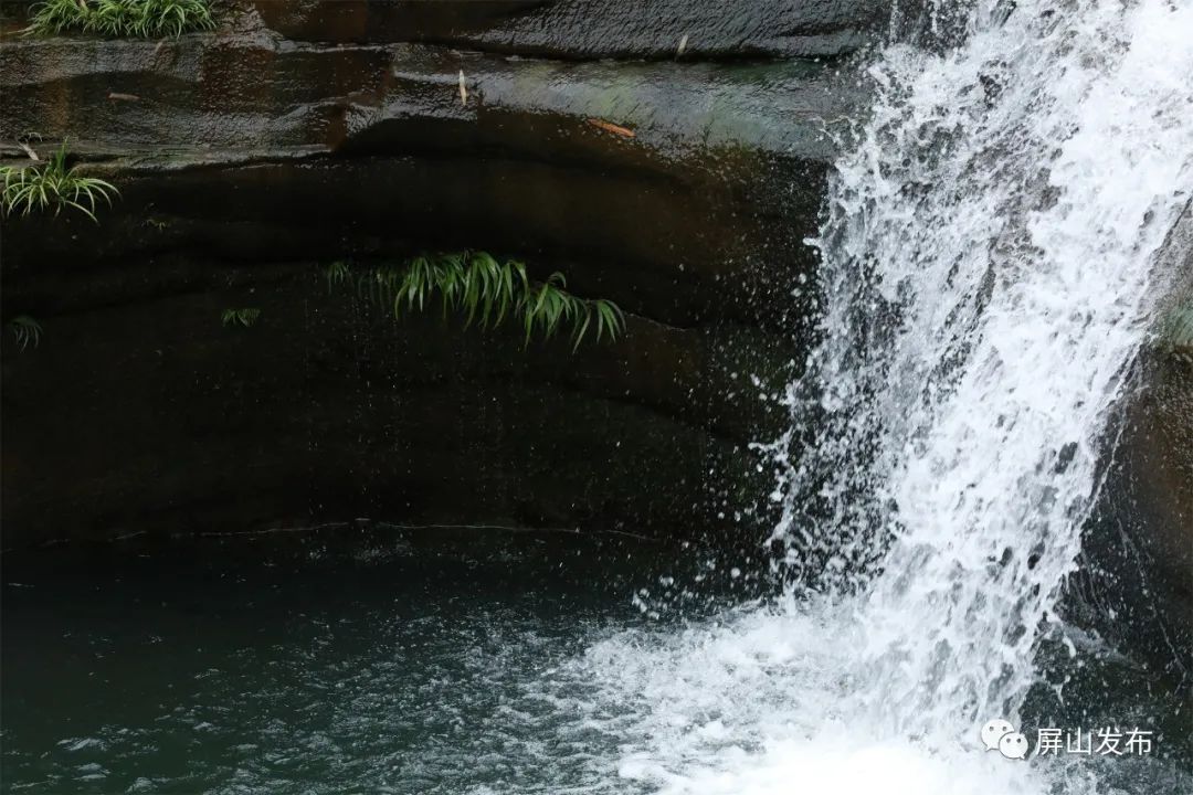 记者带你看民宿,记者带您云游老君山