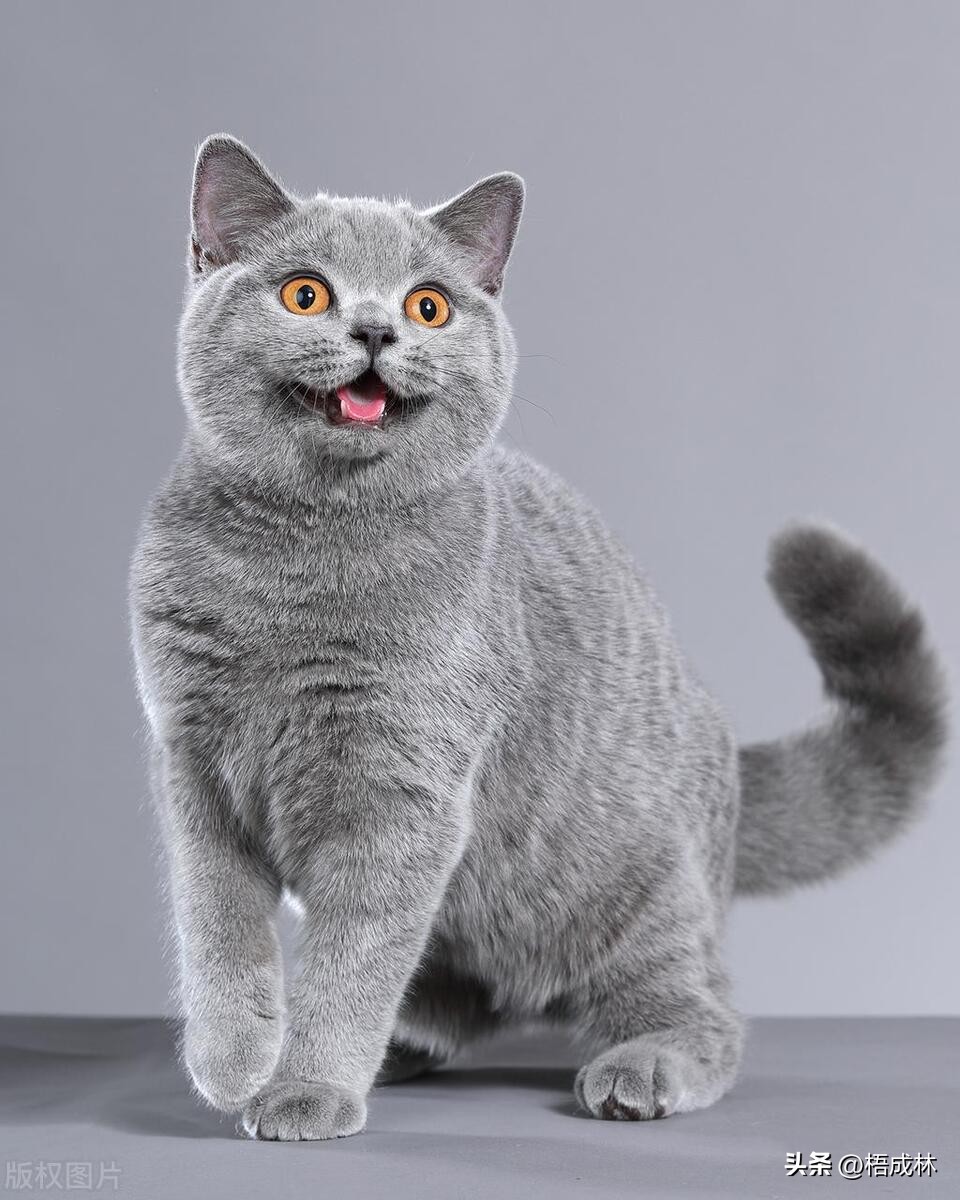 微信头像判断男生性格,通过微信头像判断人的性格