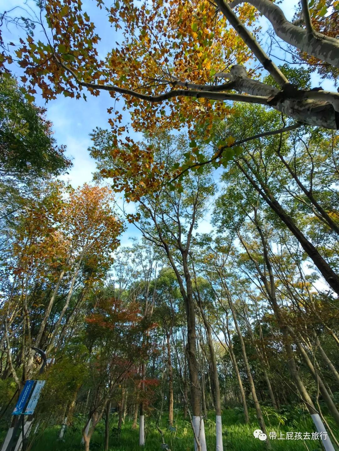 上海超火的日式私汤温泉酒店,上海日式温泉度假
