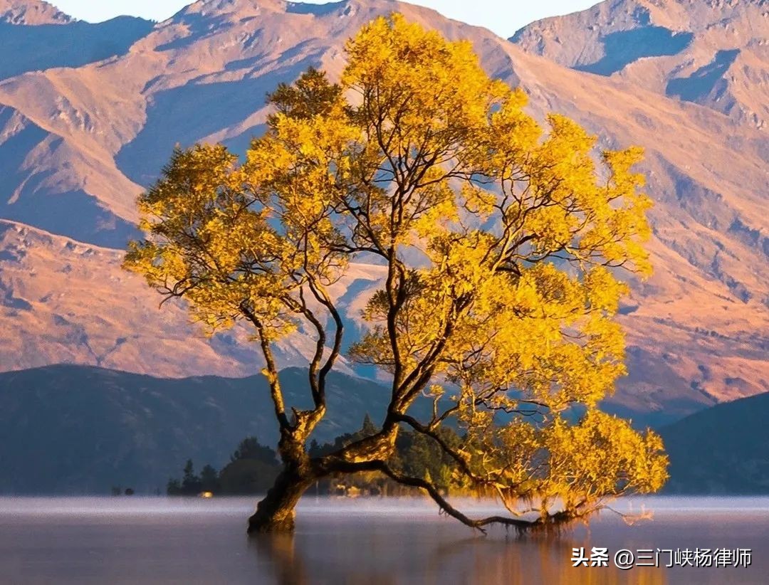 交通事故全责自己受伤报销吗,出交通事故后自己全责怎么修车