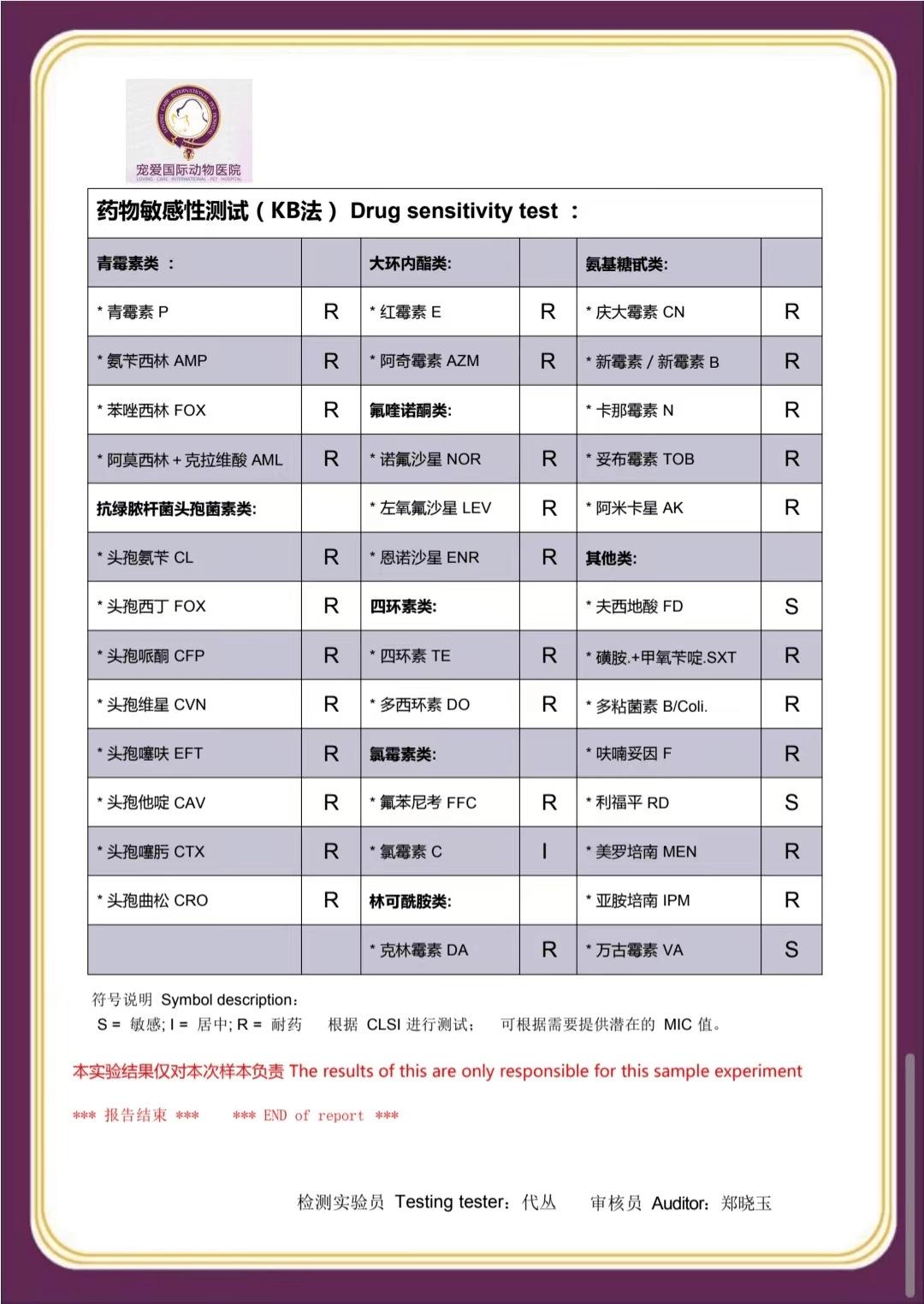 铲屎官必看!解决猫咪难以言说的泌尿道之痛—尿道口闭塞