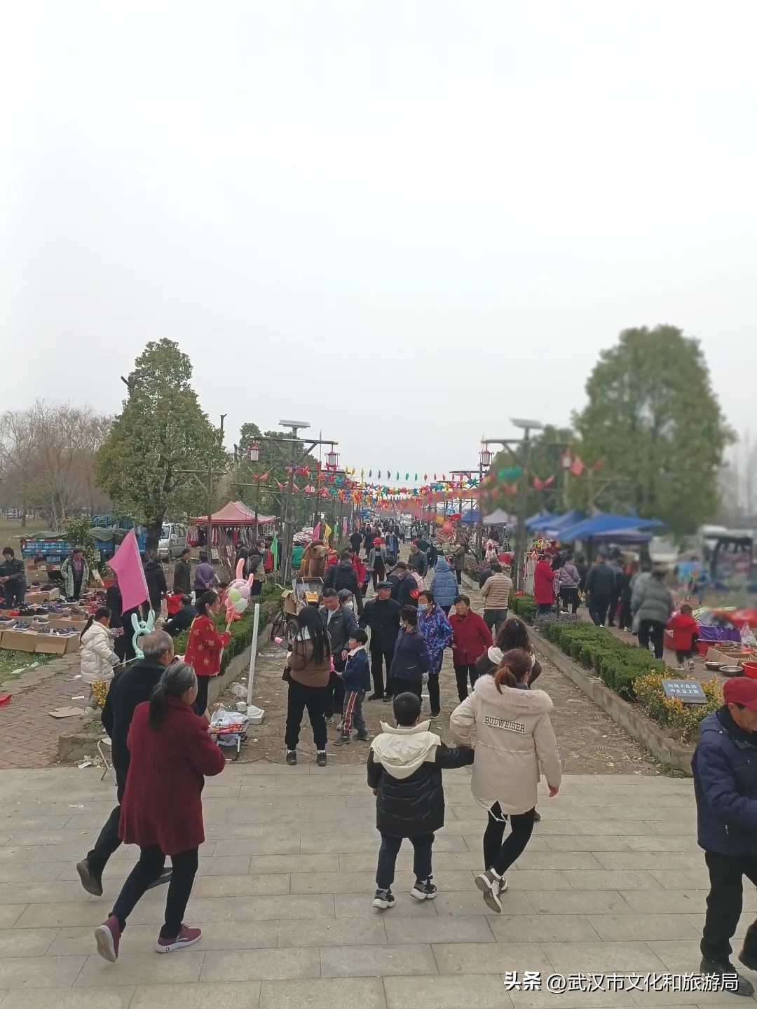花朝河湾邀您来赏花,花朝河湾旅游景区本地人要门票吗