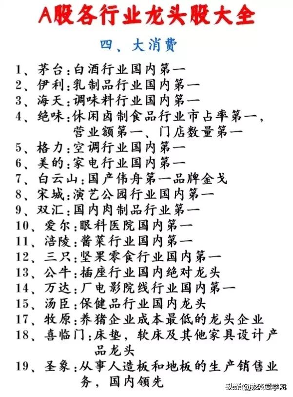 2019年各细分行业龙头股一览表,2023年各行业龙头股清单