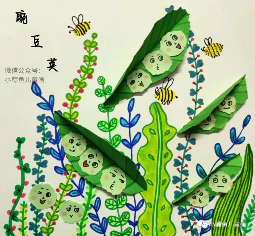 绿色的豌豆荚,最好的豌豆荚