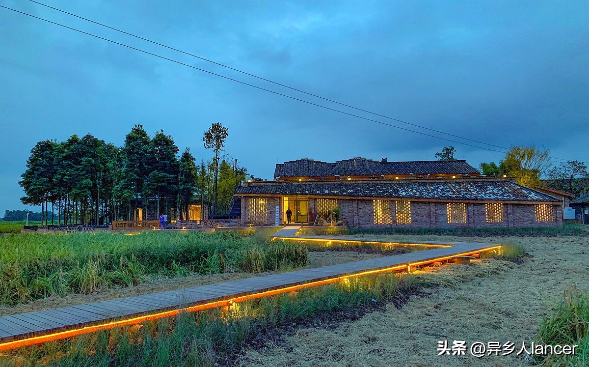 家庭农场：是否能成为乡村致富的新风口？