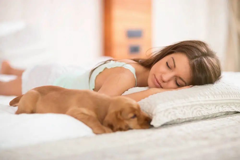 颈椎突出睡什么样的枕头最好,颈椎病侧身睡还是平睡对颈椎好