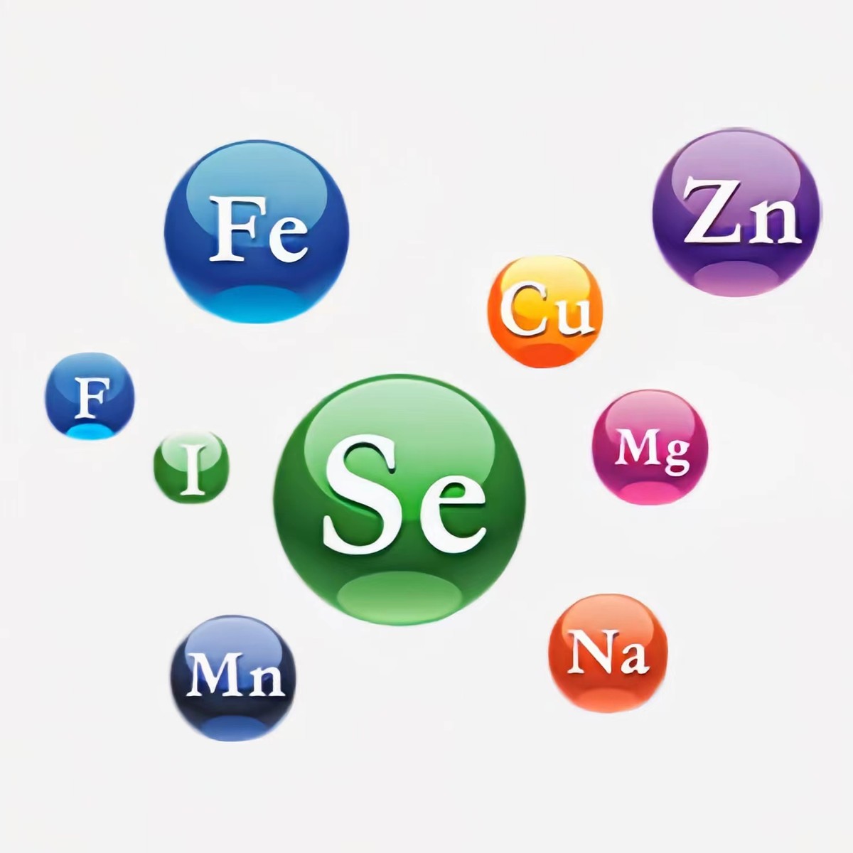 唯一一个在餐厅发现的恐龙足迹,四川餐厅发现恐龙足迹