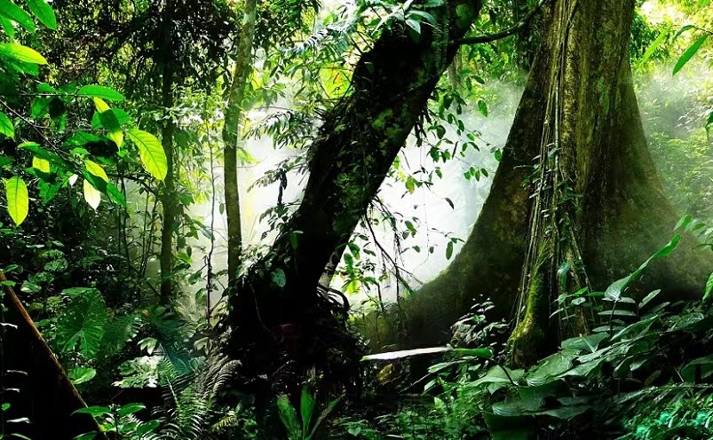 云南建水旅游十大必去景点,云南丽江十大旅游景点