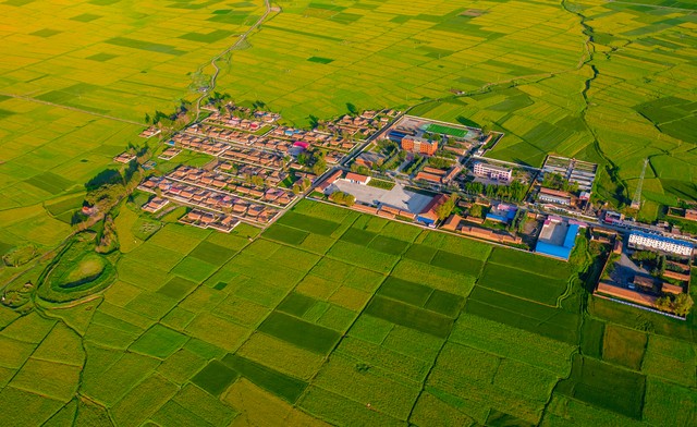 大包干前夕农村现状,大包干农村现状