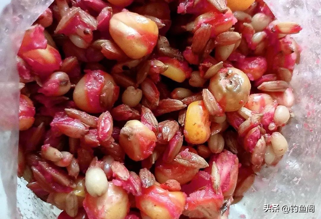 谷麦钓有那么神奇吗,谷麦怎么省力