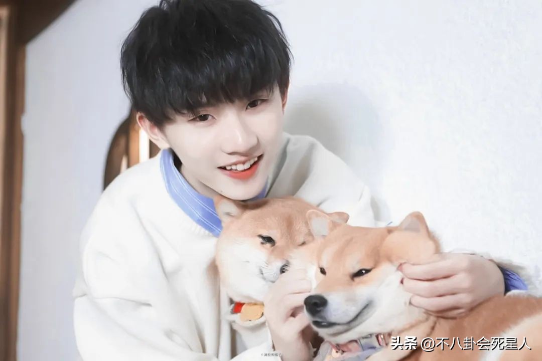 陈飞宇张颂文,陈飞宇陈凯歌张译张颂文