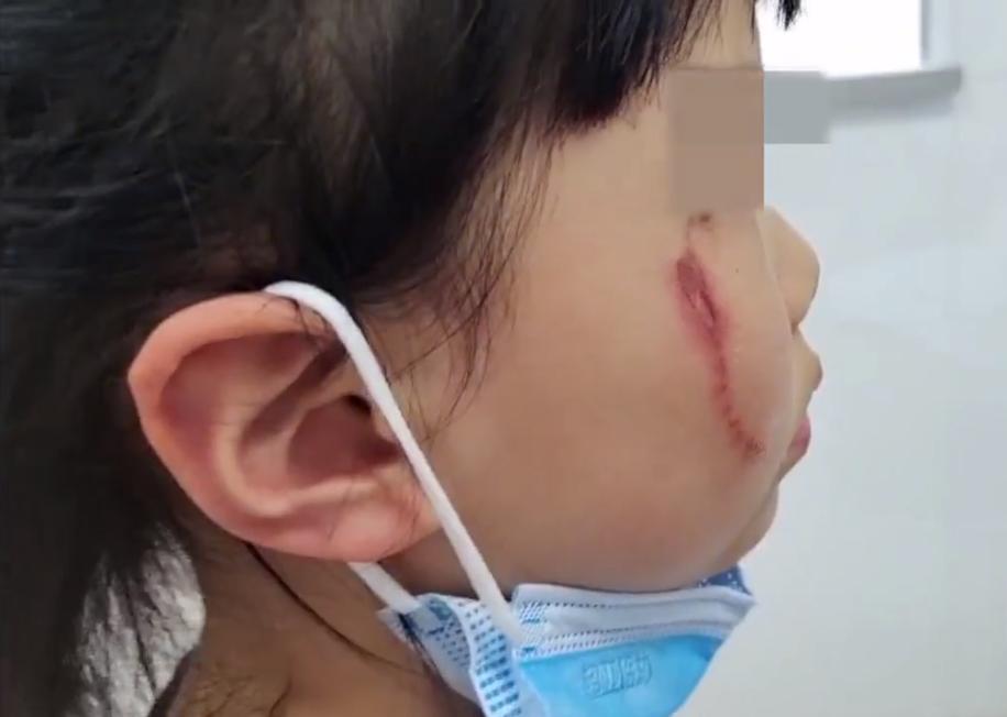 不咬人的虫子,不咬人的昆虫