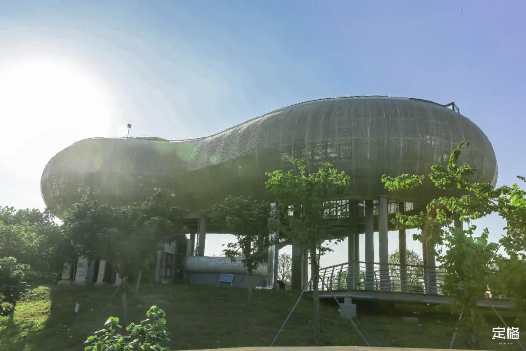 雨林打卡网红地滑梯,深圳哪里有超大型滑梯