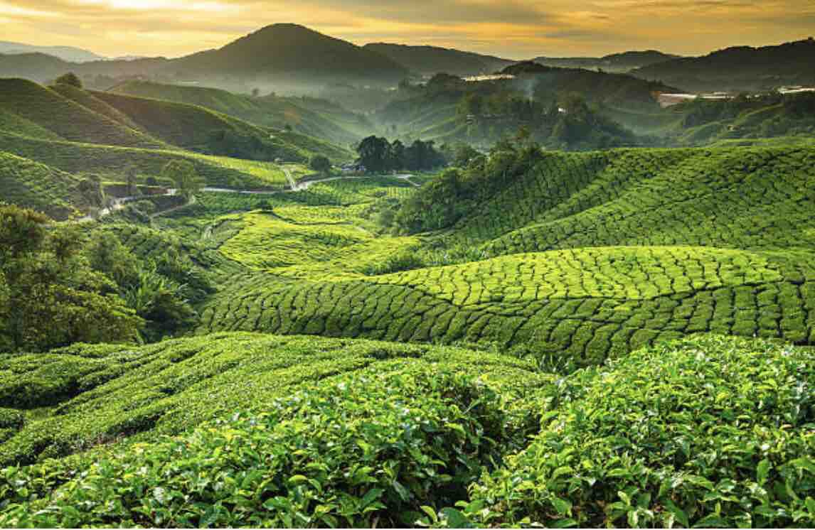 缅甸话费充值哪里便宜,缅甸最全话费套餐