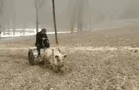 娶护士老婆后的真实感受,护士妻子大结局