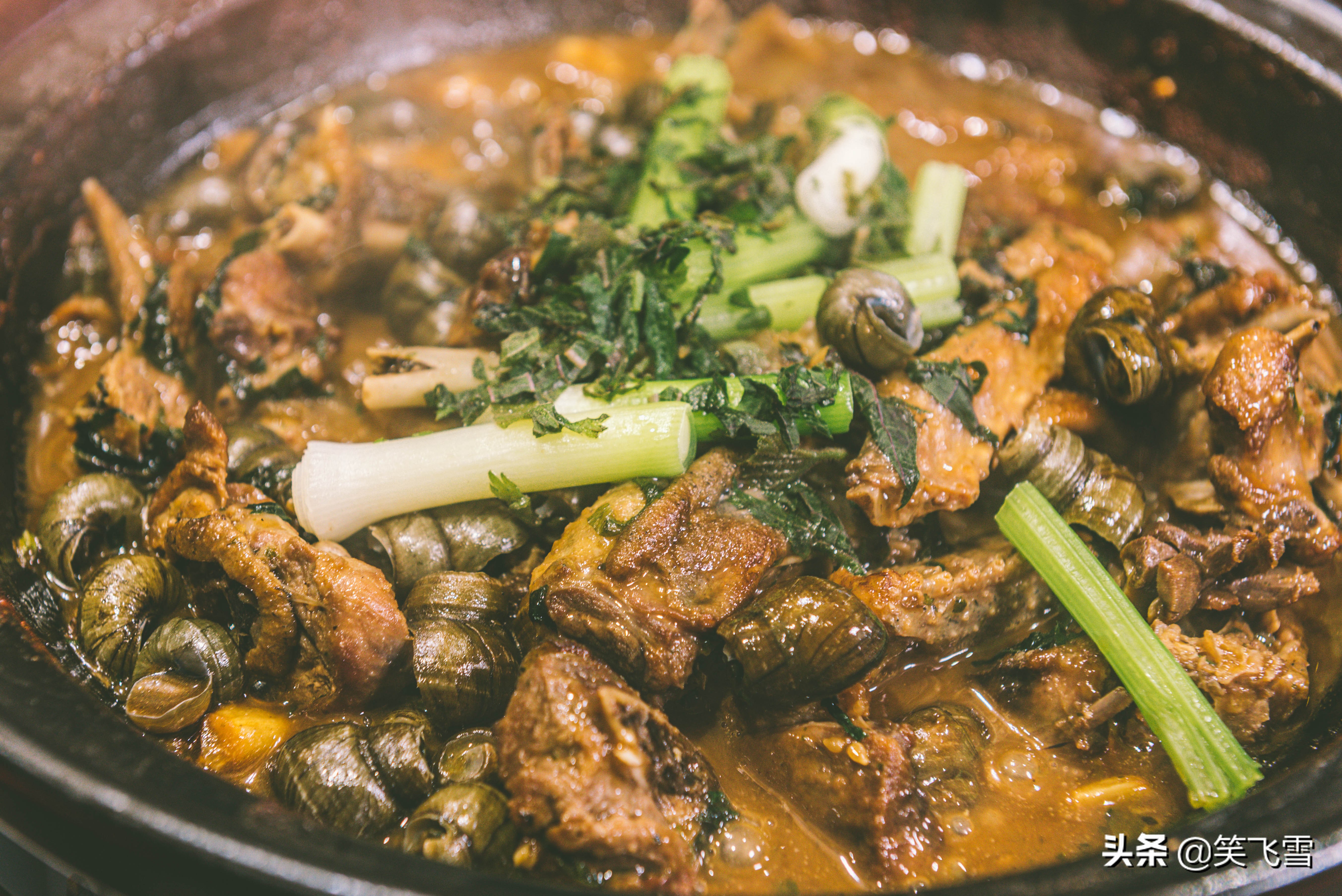 去顺德有什么好玩的,去顺德必玩的地方