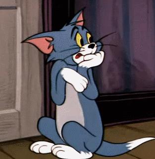 养猫有什么办法驱蚊子,养猫不可以用蚊香怎么驱蚊