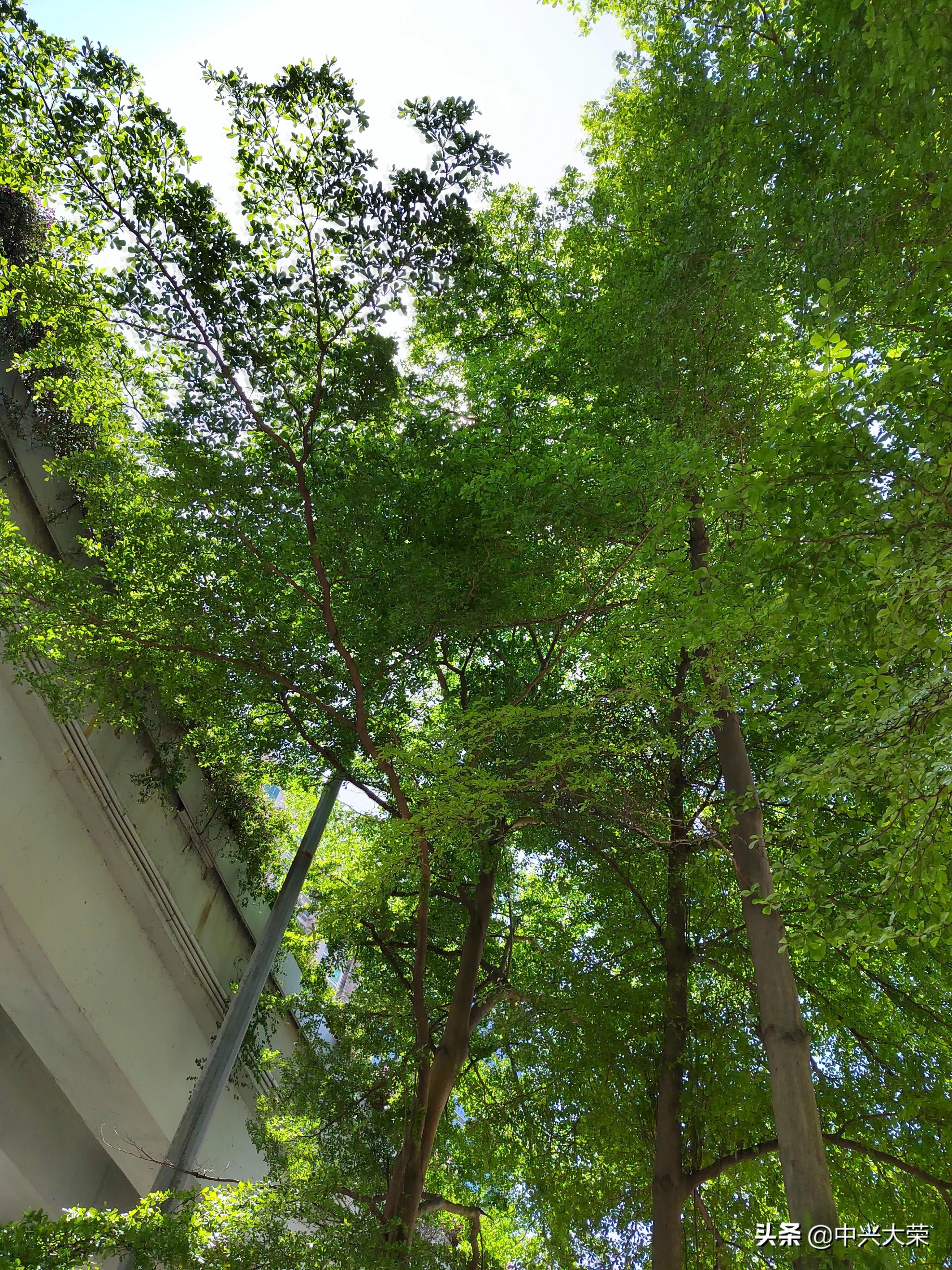 为了那场渴望的赛事