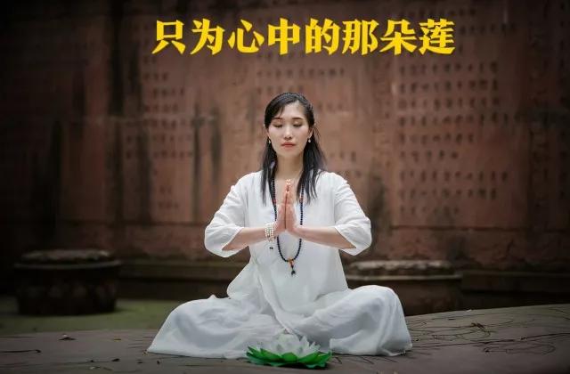 寺庙收费触犯了哪条戒律,寺庙收费是对佛的不敬吗