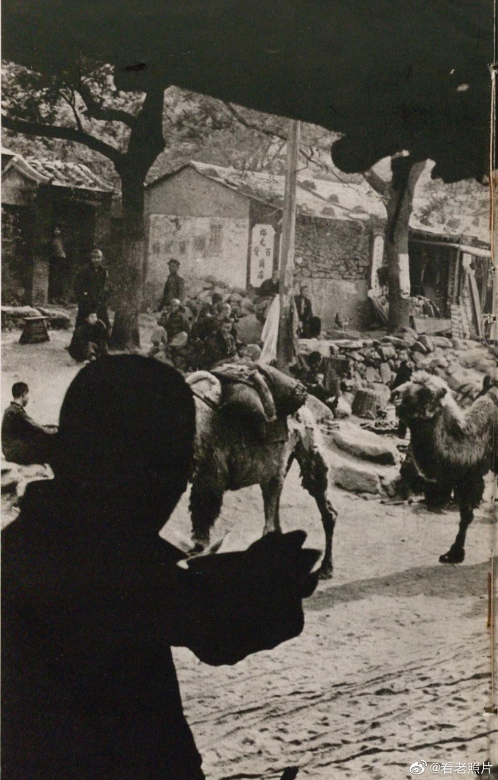 老日军女兵老照片,女子身着日本侵华军装露脸