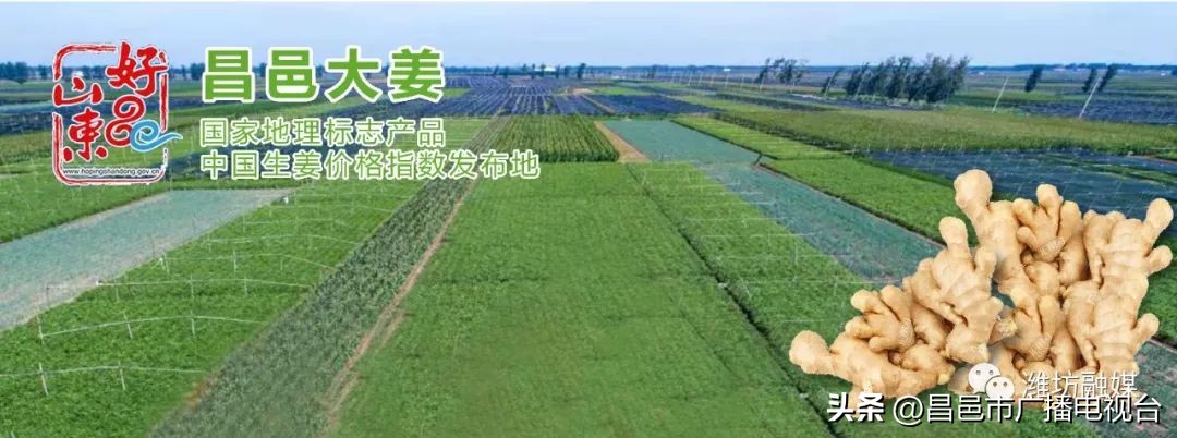 总要来趟潍坊昌邑吧!