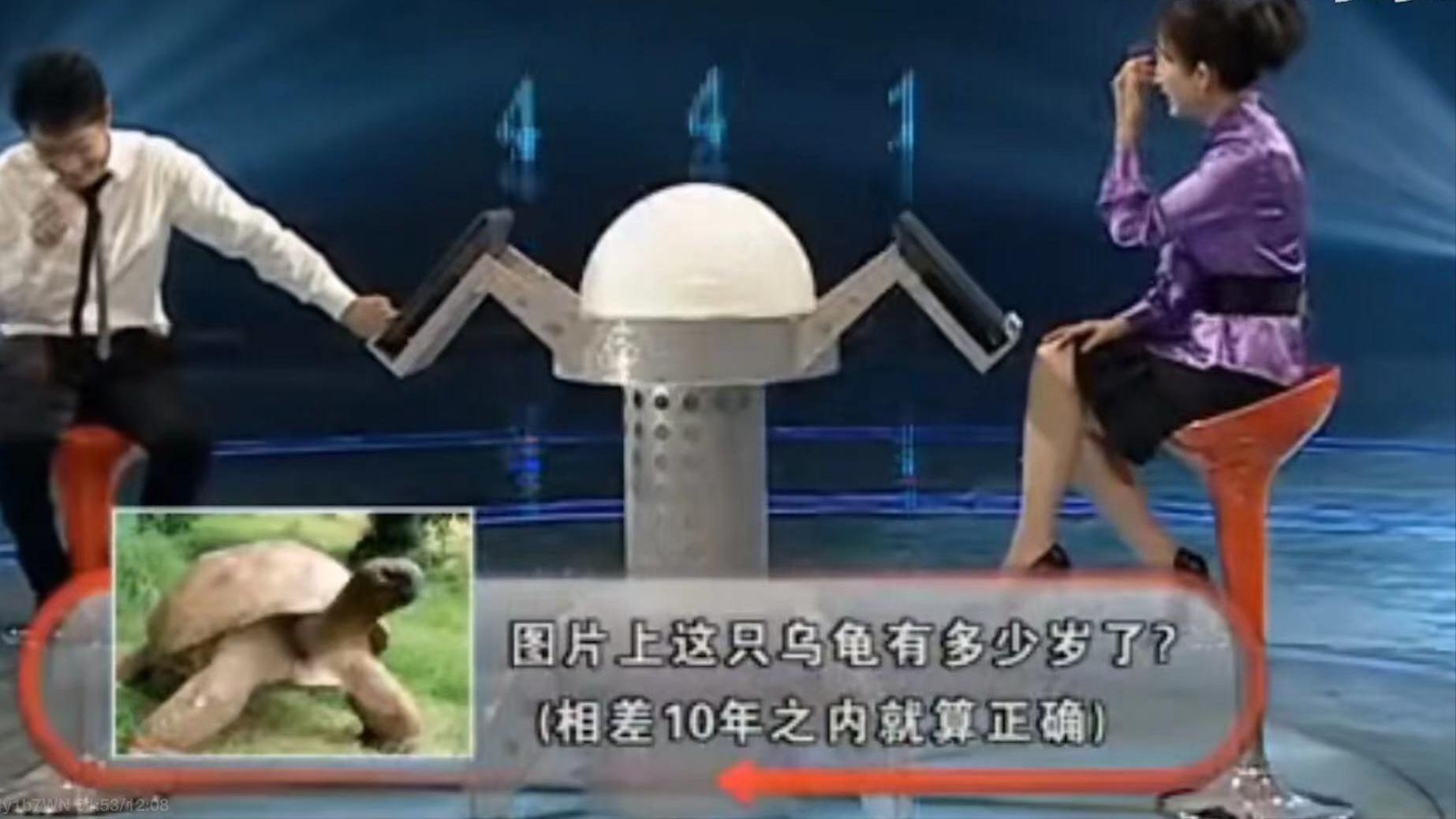 浅析近年来比较火的综艺节目,停播的搞笑综艺节目有哪些