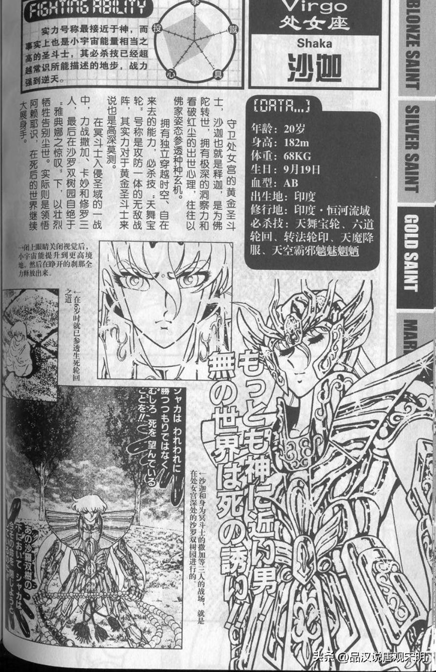 万字深度解读,万字全面解析