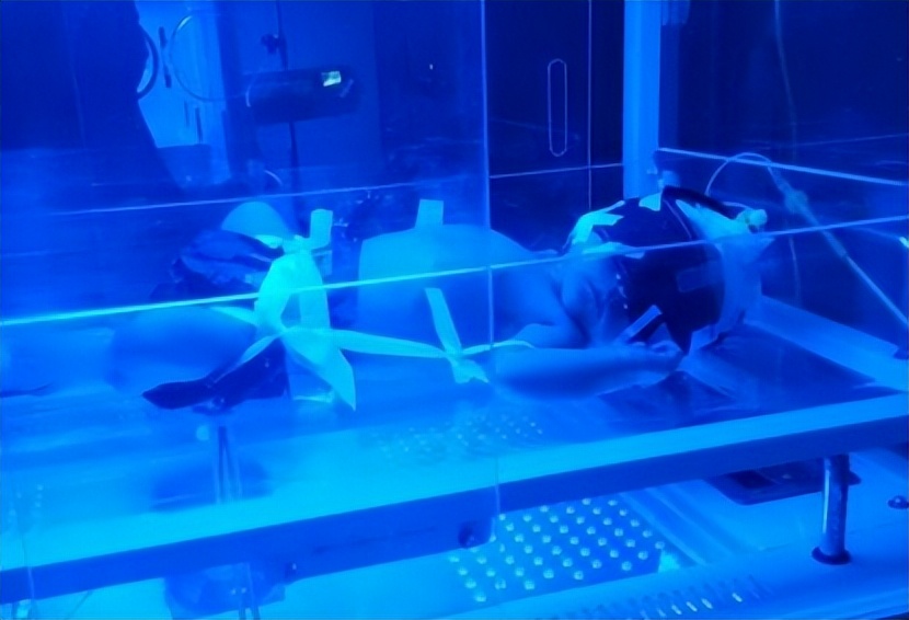 你对原力一无所知,你对人类的力量一无所知