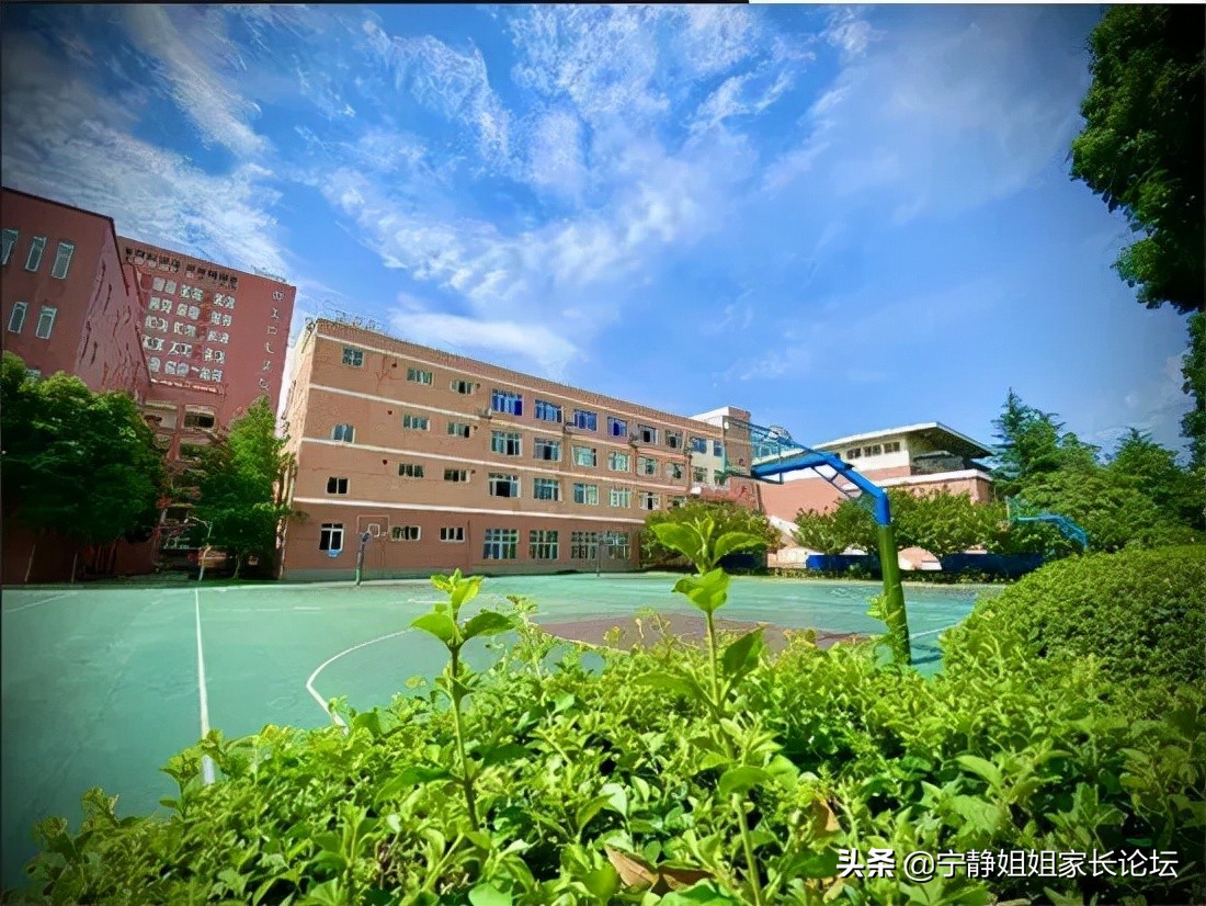 王牌学校,王牌学校有哪些