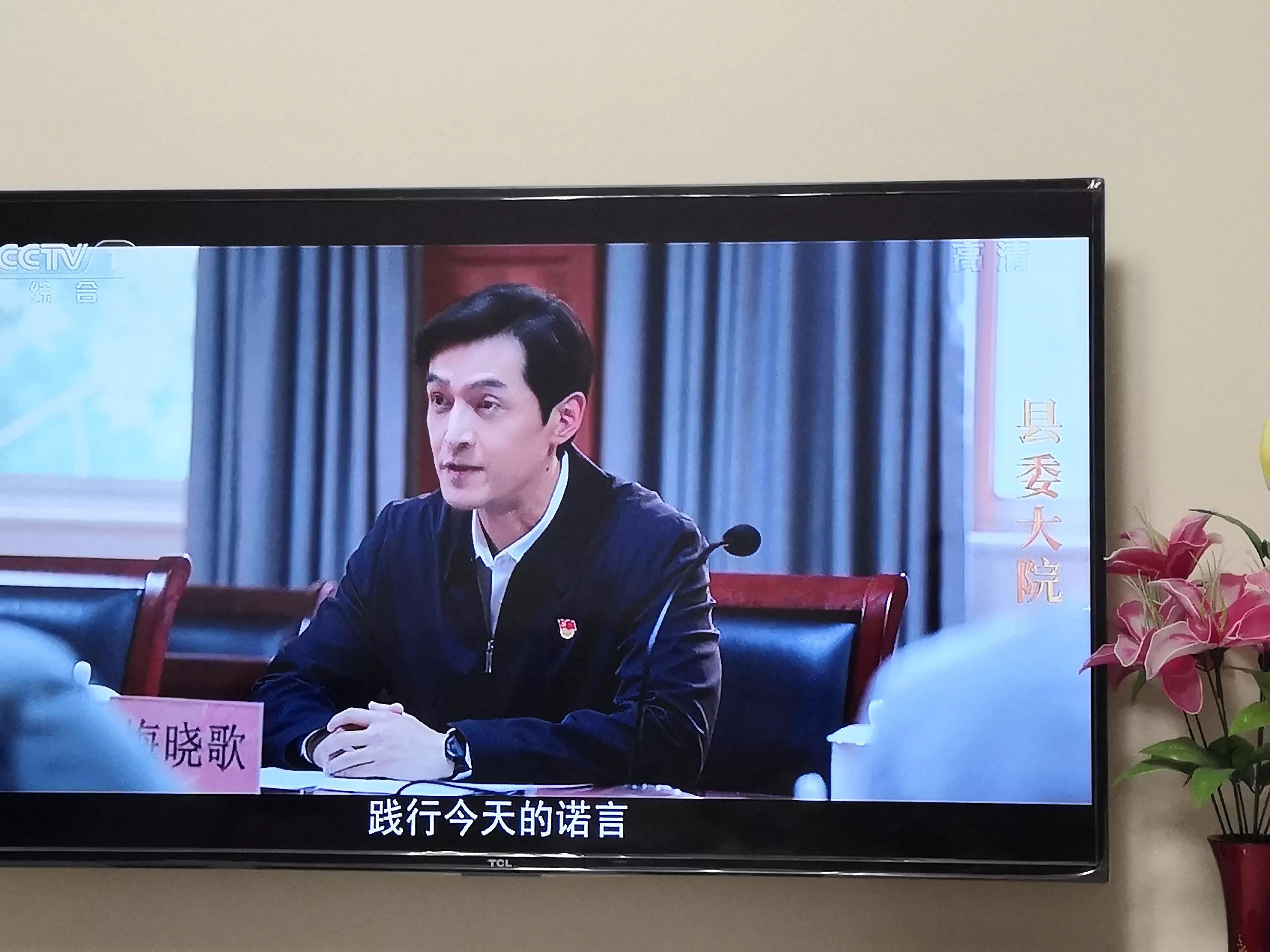 县委大院央视一套,县委大院央视网