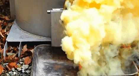 在搞鸡这方面，日本人可能是最专业的