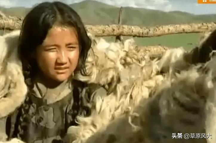 野史成吉思汗被咬死,正史成吉思汗杀了多少人