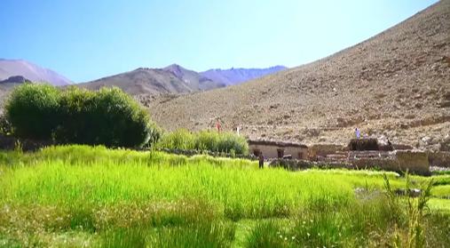 尼姑苦行僧徒步行走,一个出家尼姑的艰辛出家经历