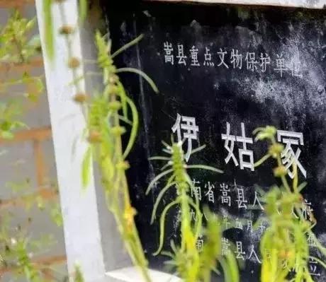 关于龙潭沟的传说,嵩县旧县镇龙潭沟的传说