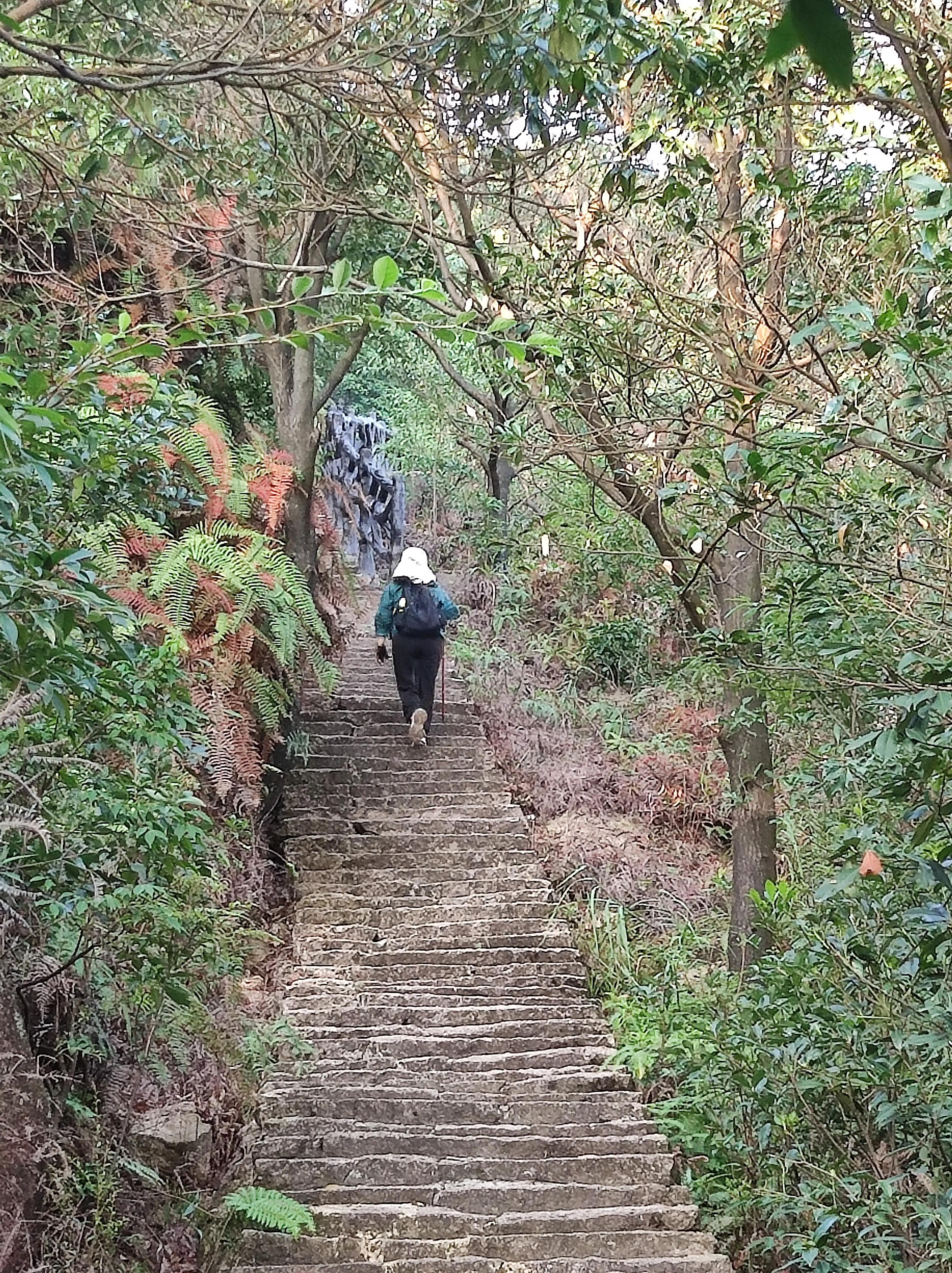 我爱大罗山,大罗山莲花石