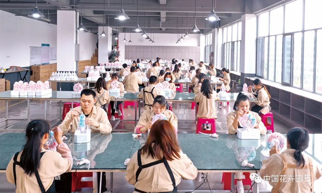 国产永生花或迎来发展新空间|“特别的花给特别的你”专题