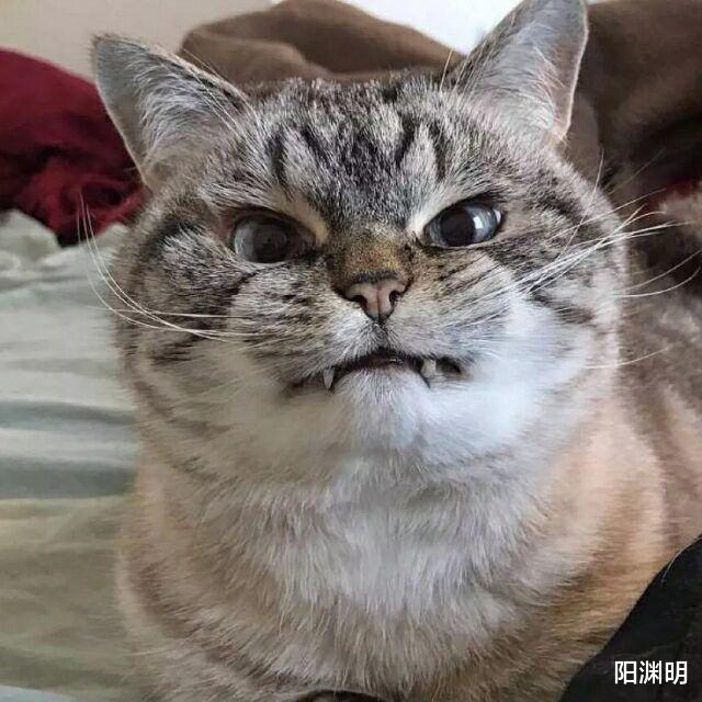 pua是如何达到精神控制的,pua是精神控制吗