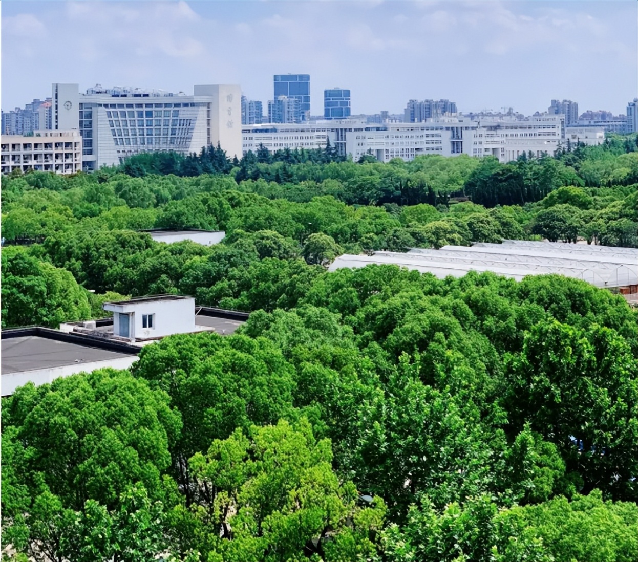 上海高校豪华宿舍,上海神仙级学校