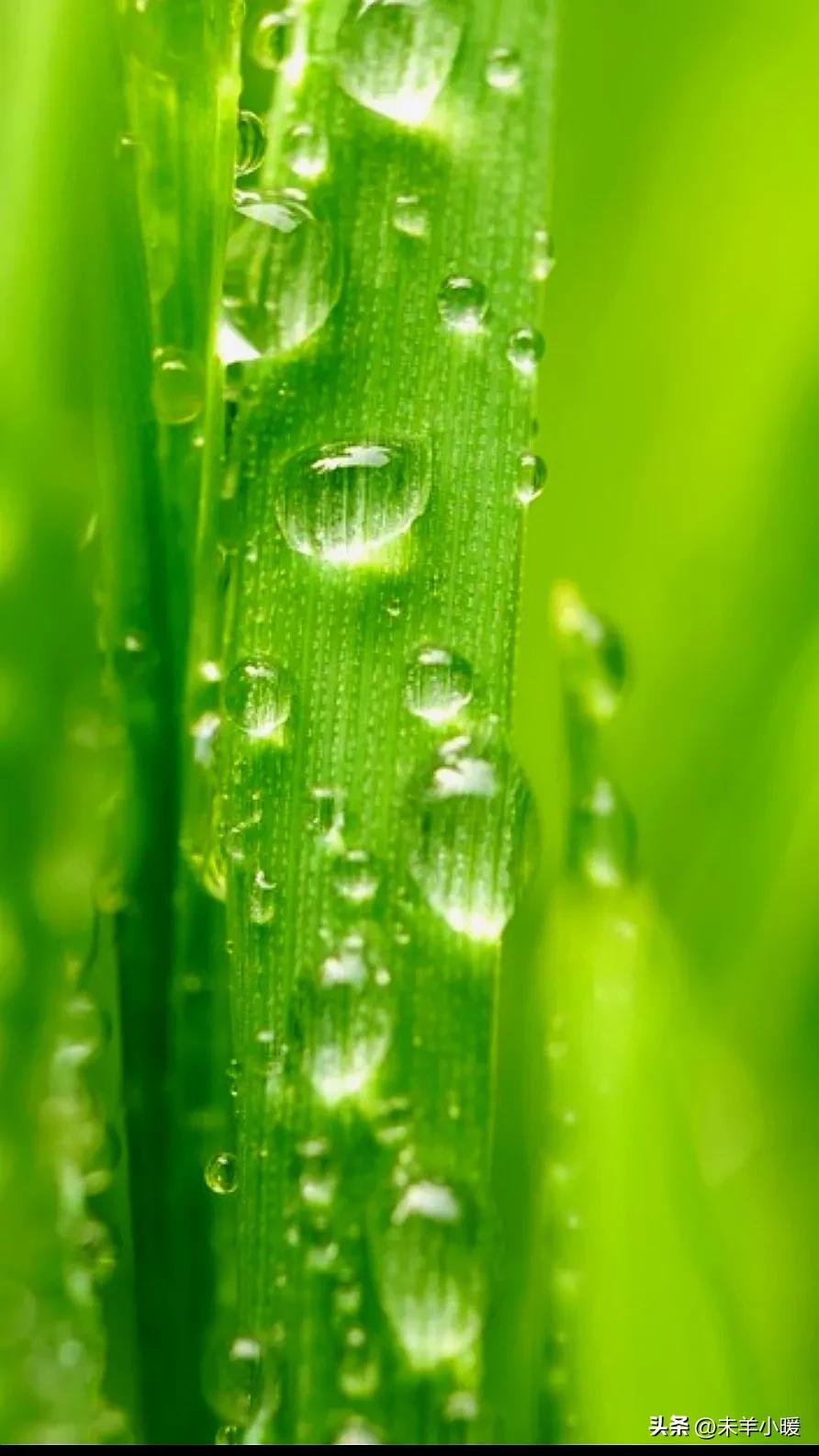 超清超美独一无二手机壁纸图片,养眼养心的壁纸