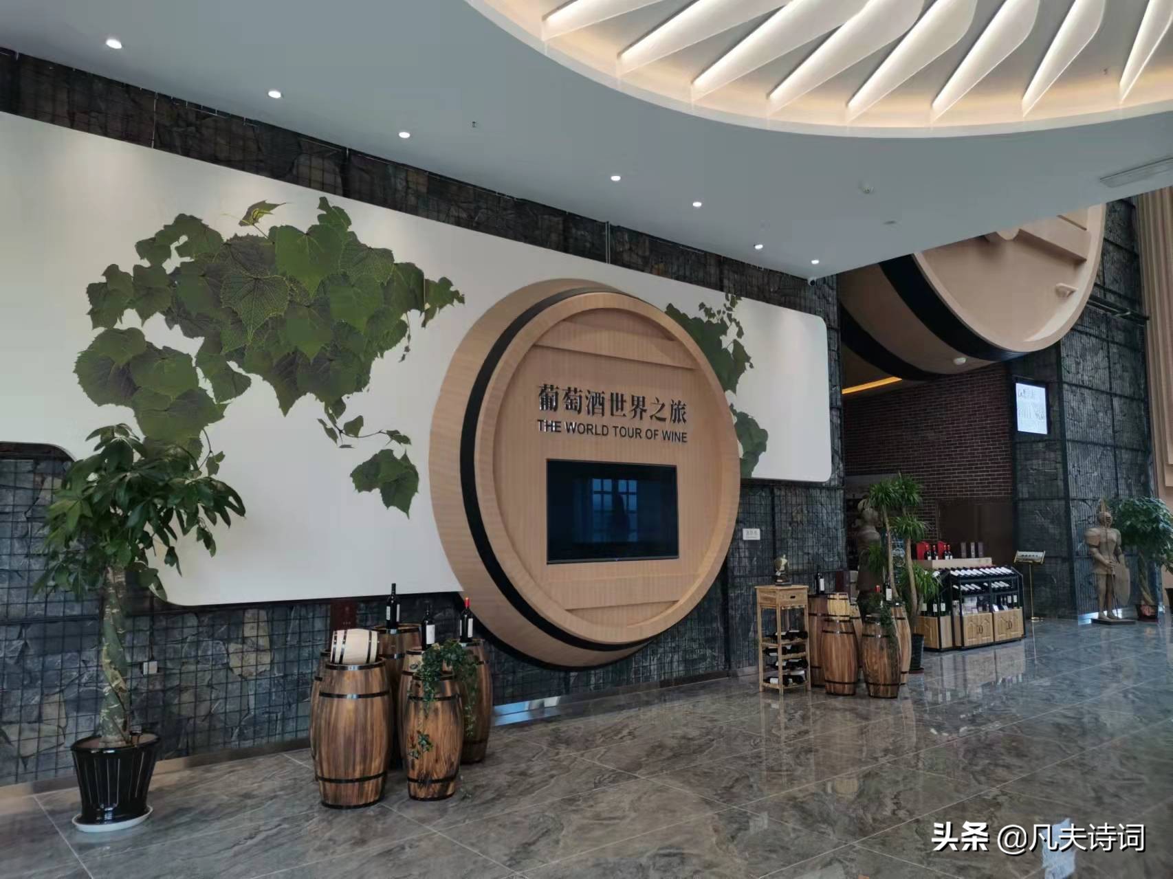 现代抒情诗：奥运圣火到山城