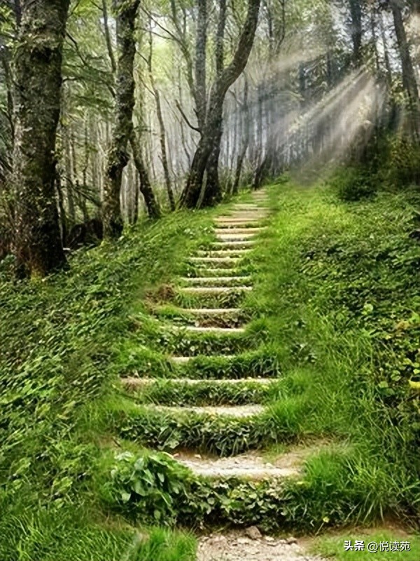 阿树哭的视频,阿树伤感剪辑