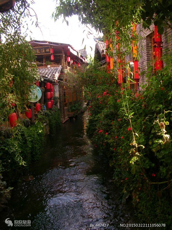 去云南旅游报团还是自由行比较好,去云南跟团旅游怎么样报团便宜点