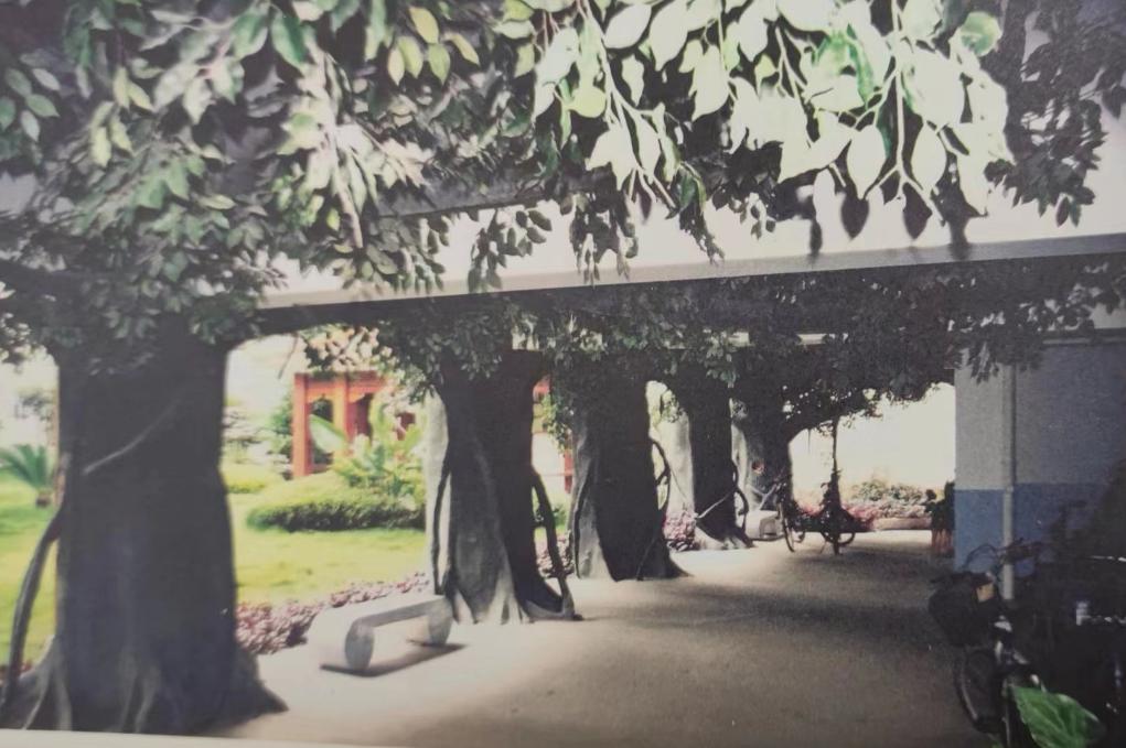 桂林400年古宅,桂林80年代民居