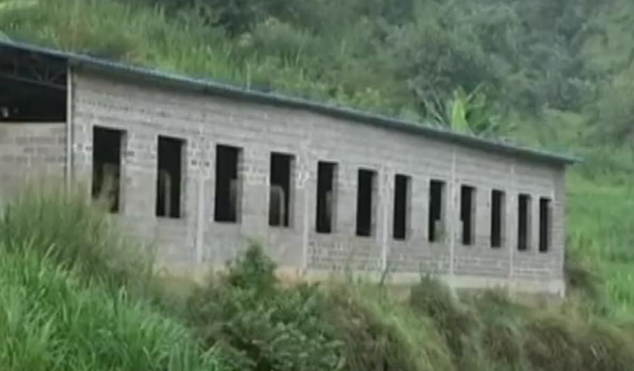 广西小伙养鱼败光家里500万,广西小伙养草鱼败光百万家产