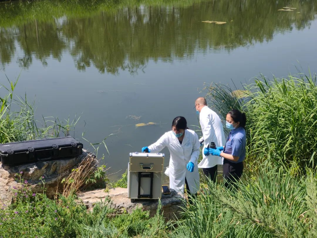 嫌疑人承认犯罪事实但是证据不足,嫌疑人承认犯罪但没证据